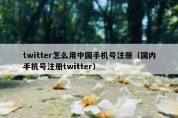 twitter怎么用中国手机号注册（国内手机号注册twitter）