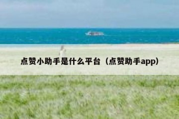 点赞小助手是什么平台（点赞助手app）