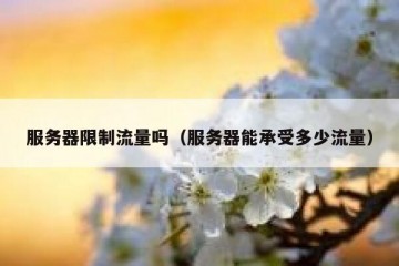 服务器限制流量吗（服务器能承受多少流量）