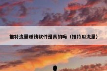 推特流量赚钱软件是真的吗（推特用流量）
