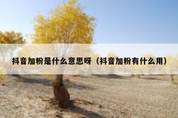 抖音加粉是什么意思呀（抖音加粉有什么用）
