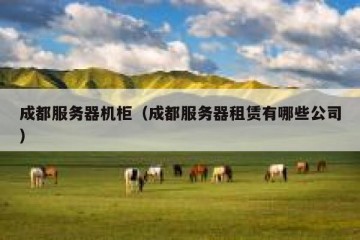 成都服务器机柜（成都服务器租赁有哪些公司）