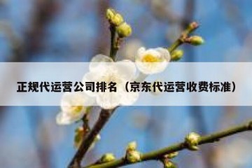 正规代运营公司排名（京东代运营收费标准）
