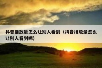 抖音播放量怎么让别人看到（抖音播放量怎么让别人看到呢）