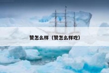 赞怎么样（赞怎么样吃）