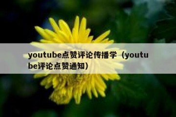 youtube点赞评论传播学（youtube评论点赞通知）