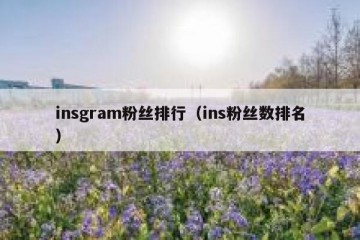 insgram粉丝排行（ins粉丝数排名）