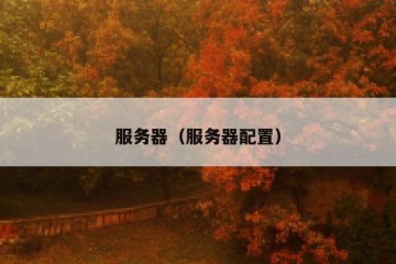 服务器（服务器配置）