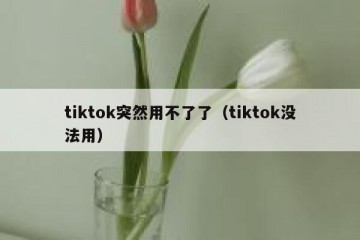 tiktok突然用不了了（tiktok没法用）