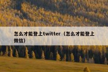 怎么才能登上twitter（怎么才能登上微信）