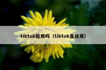 tiktok能用吗（tiktok直接用）