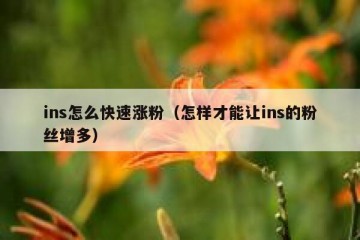 ins怎么快速涨粉（怎样才能让ins的粉丝增多）