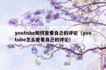 youtube如何查看自己的评论（youtube怎么查看自己的评论）