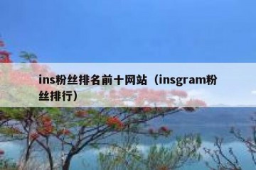 ins粉丝排名前十网站（insgram粉丝排行）