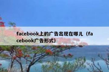 facebook上的广告出现在哪儿（facebook广告形式）