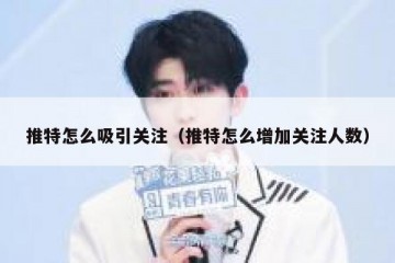 推特怎么吸引关注（推特怎么增加关注人数）