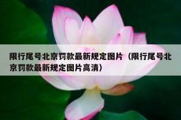 限行尾号北京罚款最新规定图片（限行尾号北京罚款最新规定图片高清）