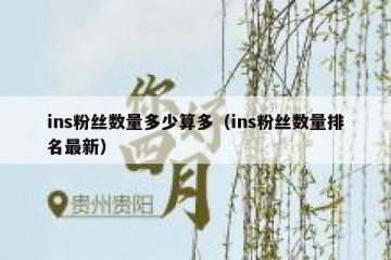 ins粉丝数量多少算多（ins粉丝数量排名最新）