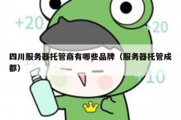 四川服务器托管商有哪些品牌（服务器托管成都）