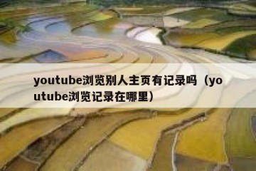 youtube浏览别人主页有记录吗（youtube浏览记录在哪里）