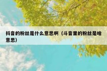 抖音的粉丝是什么意思啊（斗音里的粉丝是啥意思）