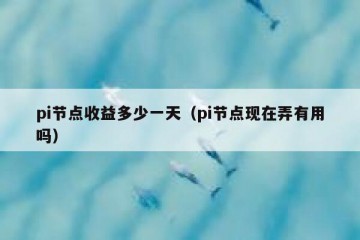 pi节点收益多少一天(pi节点现在弄有用吗)