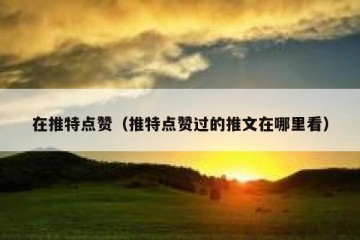 在推特点赞（推特点赞过的推文在哪里看）