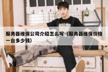 服务器维保公司介绍怎么写（服务器维保价格一台多少钱）