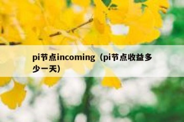 pi节点incoming（pi节点收益多少一天）
