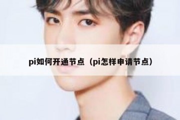 pi如何开通节点（pi怎样申请节点）