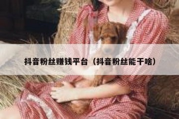 抖音粉丝赚钱平台（抖音粉丝能干啥）