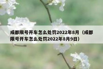 成都限号开车怎么处罚2022年8月（成都限号开车怎么处罚2022年8月9日）