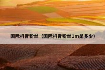 国际抖音粉丝（国际抖音粉丝1m是多少）
