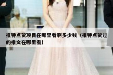推特点赞项目在哪里看啊多少钱（推特点赞过的推文在哪里看）
