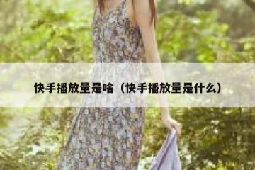 快手播放量是啥（快手播放量是什么）