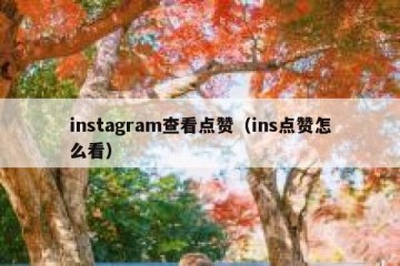instagram查看点赞（ins点赞怎么看）