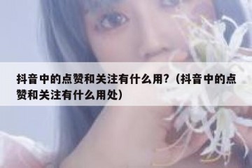 抖音中的点赞和关注有什么用?（抖音中的点赞和关注有什么用处）
