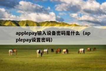 applepay输入设备密码是什么（applepay设置密码）