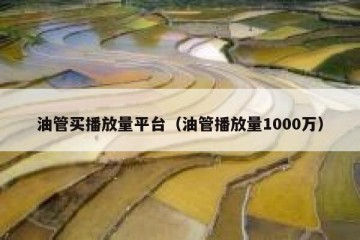 油管买播放量平台（油管播放量1000万）