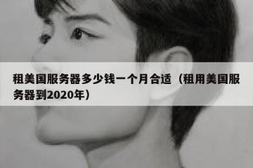 租美国服务器多少钱一个月合适（租用美国服务器到2020年）