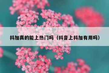 抖加真的能上热门吗（抖音上抖加有用吗）