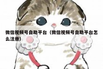 微信视频号自助平台（微信视频号自助平台怎么注册）
