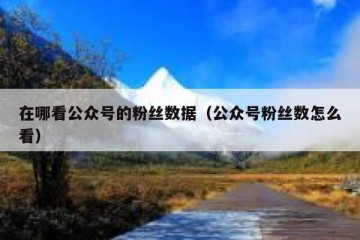 在哪看公众号的粉丝数据（公众号粉丝数怎么看）