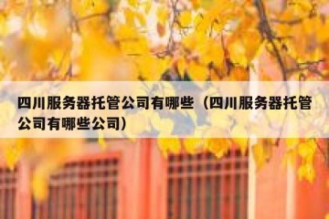 四川服务器托管公司有哪些（四川服务器托管公司有哪些公司）