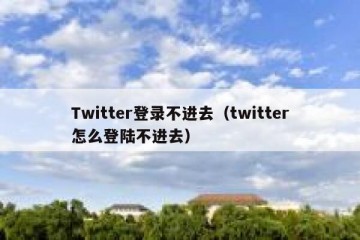 Twitter登录不进去（twitter怎么登陆不进去）