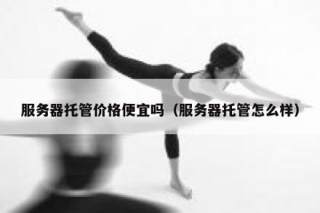 服务器托管价格便宜吗（服务器托管怎么样）