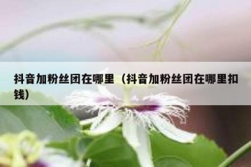 抖音加粉丝团在哪里（抖音加粉丝团在哪里扣钱）