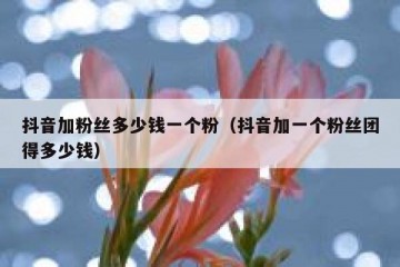 抖音加粉丝多少钱一个粉（抖音加一个粉丝团得多少钱）