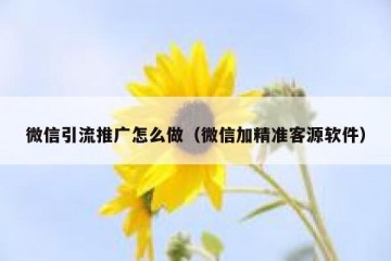 微信引流推广怎么做（微信加精准客源软件）