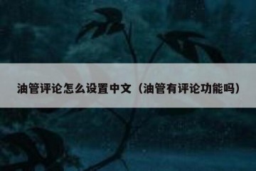 油管评论怎么设置中文（油管有评论功能吗）